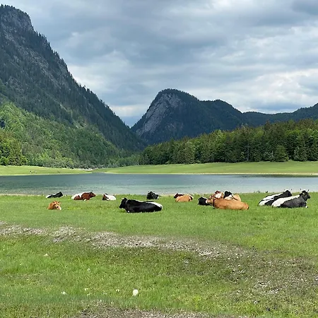 Appartamento Eisenberger Inkl. Chiemgaukarte Ruhpolding
